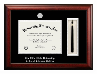 Diploma with Tassel Box Frame in Satin Mahogany with Black & Silver Mats for DOCUMENT: 8 1/2"H X 11"W  