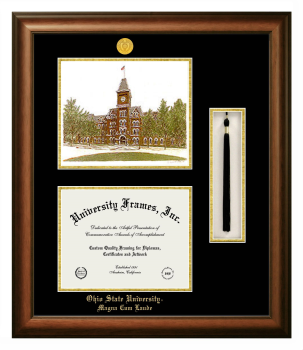 Double Opening with Campus Image & Tassel Box (Stacked) Frame in Satin Walnut with Black & Gold Mats for DOCUMENT: 8 1/2"H X 11"W  