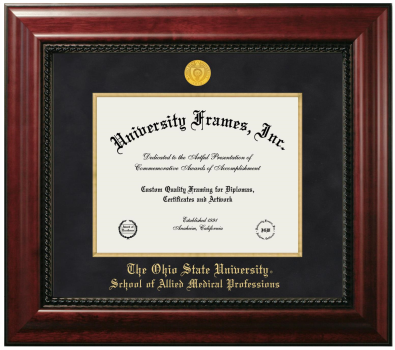 Diploma Frame in Executive with Gold Fillet with Black Suede Mat for DOCUMENT: 8 1/2"H X 11"W  