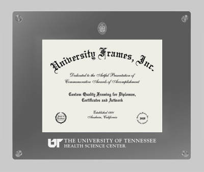 Lucent Clear-over-Smoke Frame in Lucent Smoke Moulding with Lucent Smoke Mat for DOCUMENT: 8 1/2"H X 11"W  