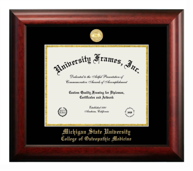 Diploma Frame in Satin Mahogany with Black & Gold Mats for DOCUMENT: 8 1/2"H X 11"W  