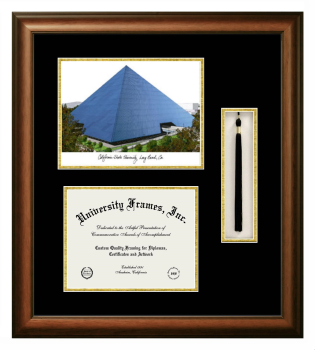 Double Opening with Campus Image & Tassel Box (Stacked) Frame in Satin Walnut with Black & Gold Mats for DOCUMENT: 8 1/2"H X 11"W  