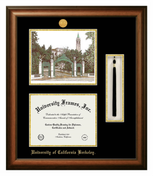 Double Opening with Campus Image & Tassel Box (Stacked) Frame in Satin Walnut with Black & Gold Mats for DOCUMENT: 8 1/2"H X 11"W  