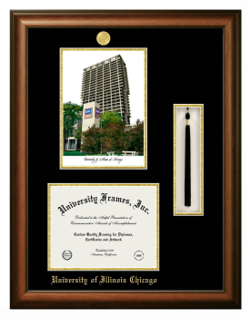 Double Opening with Campus Image & Tassel Box (Stacked) Frame in Satin Walnut with Black & Gold Mats for DOCUMENT: 8 1/2"H X 11"W  